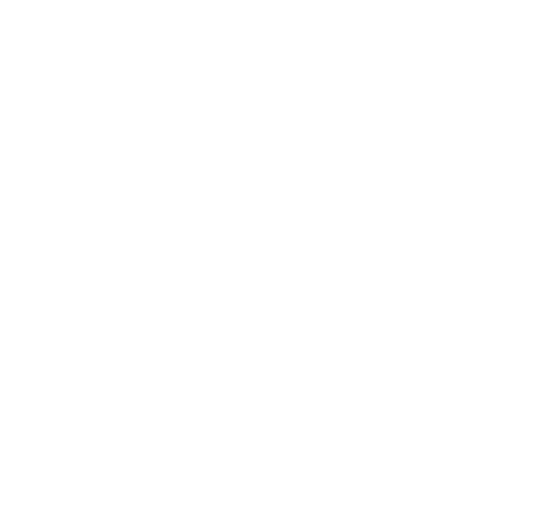 seguro deshonestidad